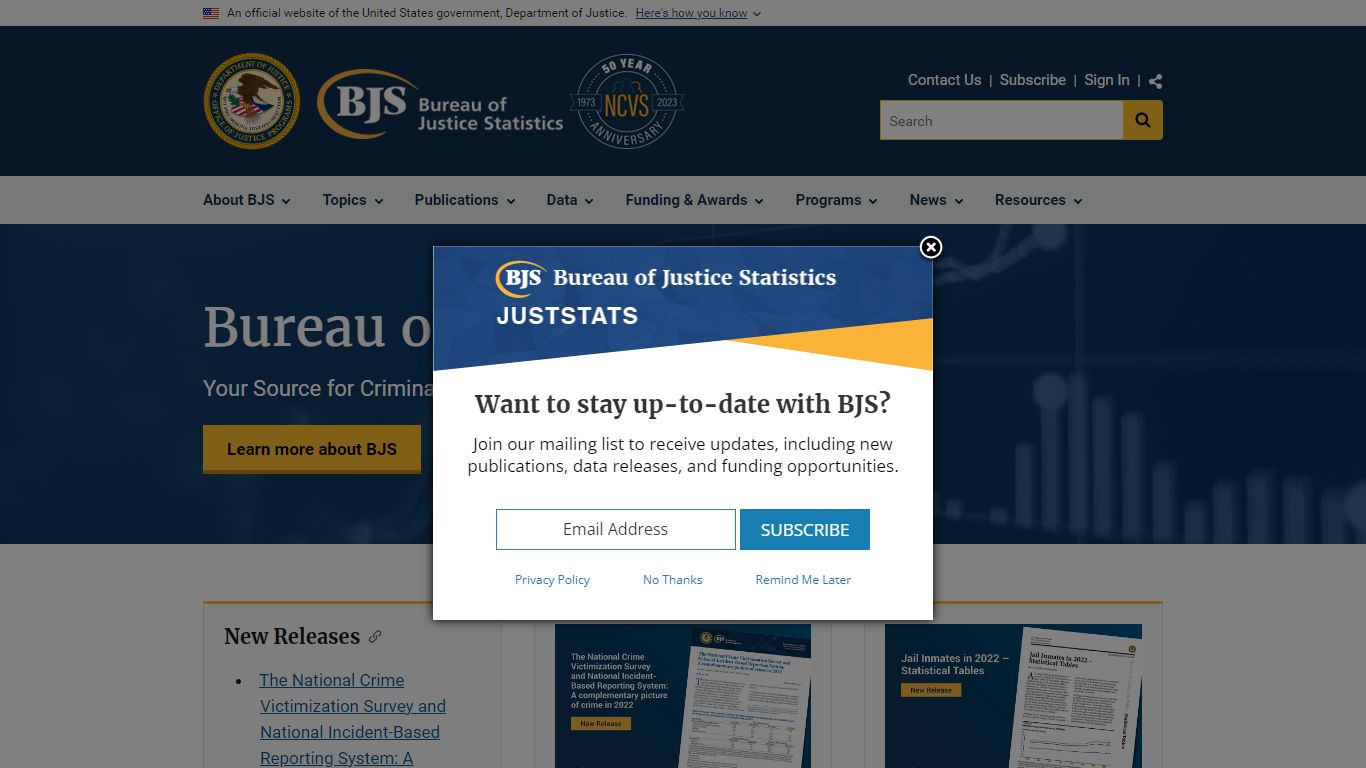 Jail Inmates in 2021 – Statistical Tables - Bureau of Justice Statistics